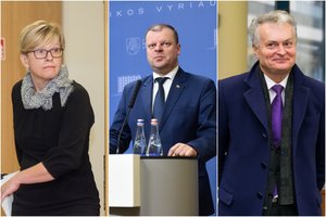 Po S. Skvernelio pareiškimo – ekspertų įžvalgos: paaiškino, kaip mato prezidento rinkimus 