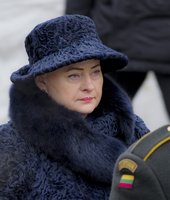 D. Grybauskaitės patarėjas pasakė, kaip šalies vadovė derino pareigas ir rinkimus