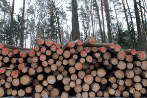 Medienos ruošos paslaugas urėdijai gali teikti ir pavieniai asmenys, ir bendrovės