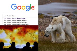 Scenarijus pildosi: pragaro Žemėje išsigandę žmonės jau ieško atsakymų apie ateitį