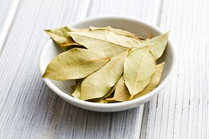 Ko dar nežinojote apie laurų lapus: tiks ne tik sriubai pagardinti