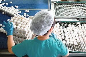 Rusijos kovos su skurdu paradoksai: viršų ima vieno kiaušinio politika