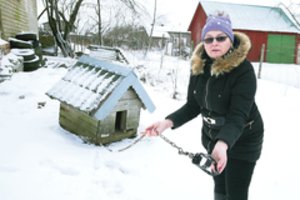 Klaipėdos r. gyventojai įbauginti: grobio neberandantys vilkai pradėjo galabyti žmonių šunis