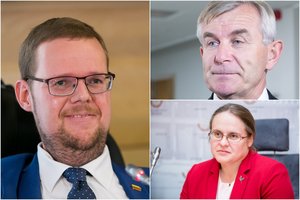 Įtarimai dėl kyšio perdavimo Seimo salėje A. Širinskienei ir V. Pranckiečiui kelia juoką