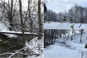 Vietoj išpuoselėto parko Kretingoje – kiaulė, kurią pakišo saviškiai