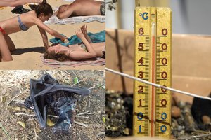 Australiją svilina beveik 50 laipsnių karštis: žmonės slepiasi prekybos centruose, iš medžių krenta šikšnosparniai