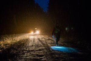 Vilniaus įmonės direktorius į baisų pedofilijos voratinklį įtraukė daug vaikų iš Kauno krašto