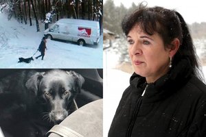 Paviešinus moters egzekucijos prieš kalytę vaizdus, užkliuvo viena detalė