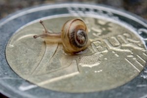 NMA: parama bus mokama patvirtinus asignavimus