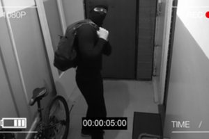 Anekdotą primenanti situacija: šeimininkas vagis sugavo tik policijai pamelavus vieną dalyką