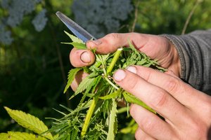 Prilygina kontrabandininkui: už pasidalintą suktinę – iki 12 m. kalėjimo ir jokių išimčių 
