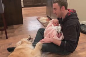 Pirmasis kūdikio susitikimas su namuose karaliavusiu šunimi – spaudžia širdį