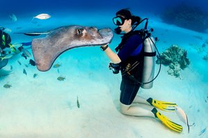 Kurios žuvys yra protingiausios? Jos net sugeba save atpažinti veidrodyje