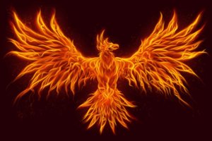 Paukščiai, nešantys ugnį. Skamba neįtikėtinai, bet gali būti tiesa