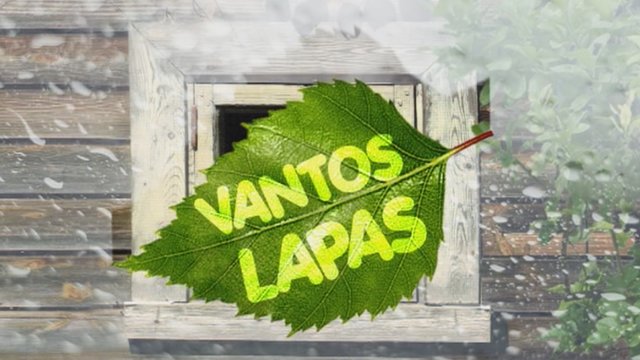 Vantos lapas 2019-01-26