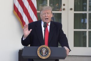 D. Trumpas nusileido ginče dėl sienos: JAV Kongresas nutraukė vyriausybės uždarymą