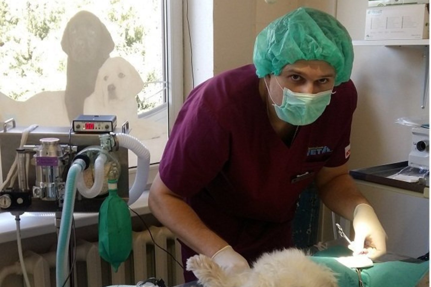 Ko bijo garsiausias Lietuvos veterinaras Paulius Morkūnas?