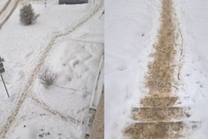 Vilniečius apėmė pyktis: tokios situacijos nematė 28 metus