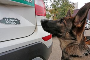 Paskelbė, kurią vietą tarp 180 šalių užima Lietuva pagal korupcijos suvokimo indeksą