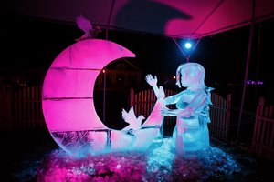 Pakruojo dvare sužibės žvaigždynai iš ledo ir lazerių