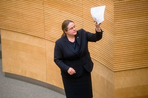 Verslo ir kalbos sergėtojų imtynės: „Įmonės išaugo vietos marškinėlius“