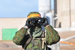 Žvalgybos tarnybos Seimo komitetui pristatys grėsmių vertinimą