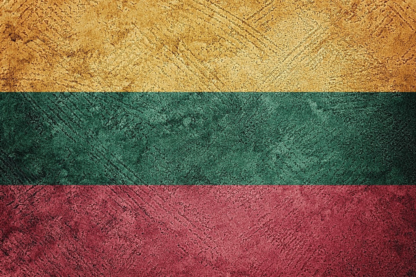  Žemaičių kalba labai ryškiai skiriasi nuo bendrinės kalbos ir kitų lietuvių tarmių.<br> 123RF iliustr.