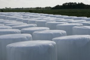 Lietuva galės eksportuoti į Kiniją šienainį 