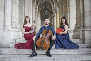 Lietuvė smuikininkė parvyks iš Vienos su dviem scenos talentais