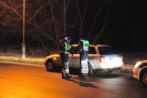 Skaudi netektis prie Panevėžio – dviejų automobilių nutrenktas nugaišo elnias