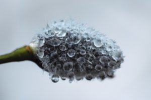 Sinoptikės žinios laukiantiems pavasario: kokie orai bus vasarį?