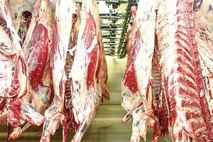 Lenkai įtartina mėsa maitino ne tik savo tautiečius, bet ir Lietuvą