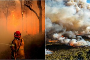 JAV šąla, o Australiją alina pragaro liepsnos: blogiausia tik prieš akis