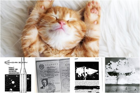 Nuo bazės Mėnulyje iki šnipinėjimo katėmis: 22 išslaptintos JAV karinės paslaptys (II dalis)