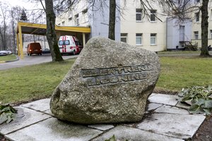 Mergaitę ištiko priepuolis prie Elektrėnų ligoninės: medikų reakcija pribloškė
