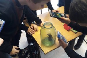 Telšių progimnazijoje – neįprastas gyventojas: gyvį išnešė žiemoti į rūsį