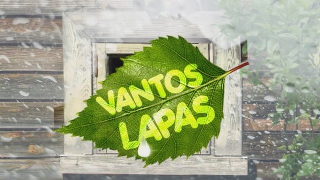 Vantos lapas 2019-02-02