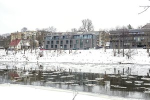 Sportininkai įsikabino dantimis į šabakštyną prie Neries – regi milijonus 