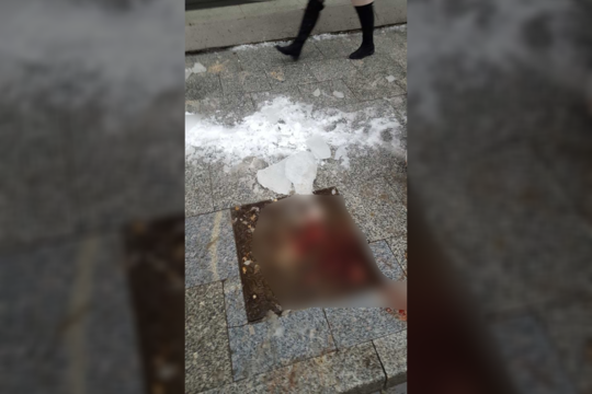 Vilniaus centre kraupiai sužalota moteris: ant galvos užkrito ledo luitas