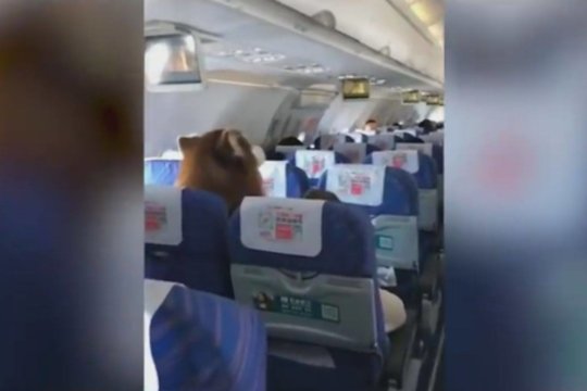 Lėktuve pamatę šį keleivį net neįtarė, kokia jo istorija – sujaudino tūkstančius