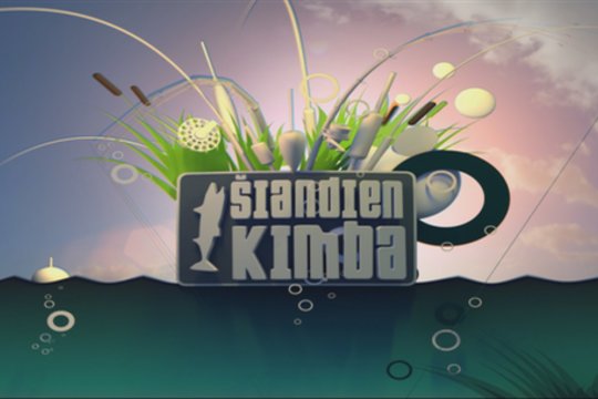 Šiandien kimba 2019-02-03