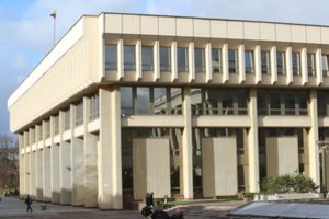 Seimą apjuos metalinių stulpelių tvora