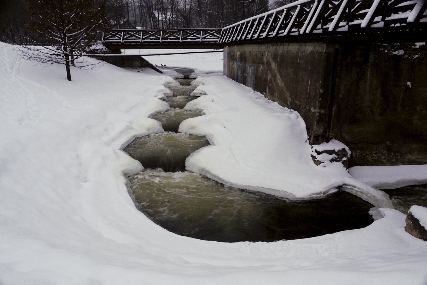Belmontas,žiema,orai<br>V.Ščiavinsko nuotr.