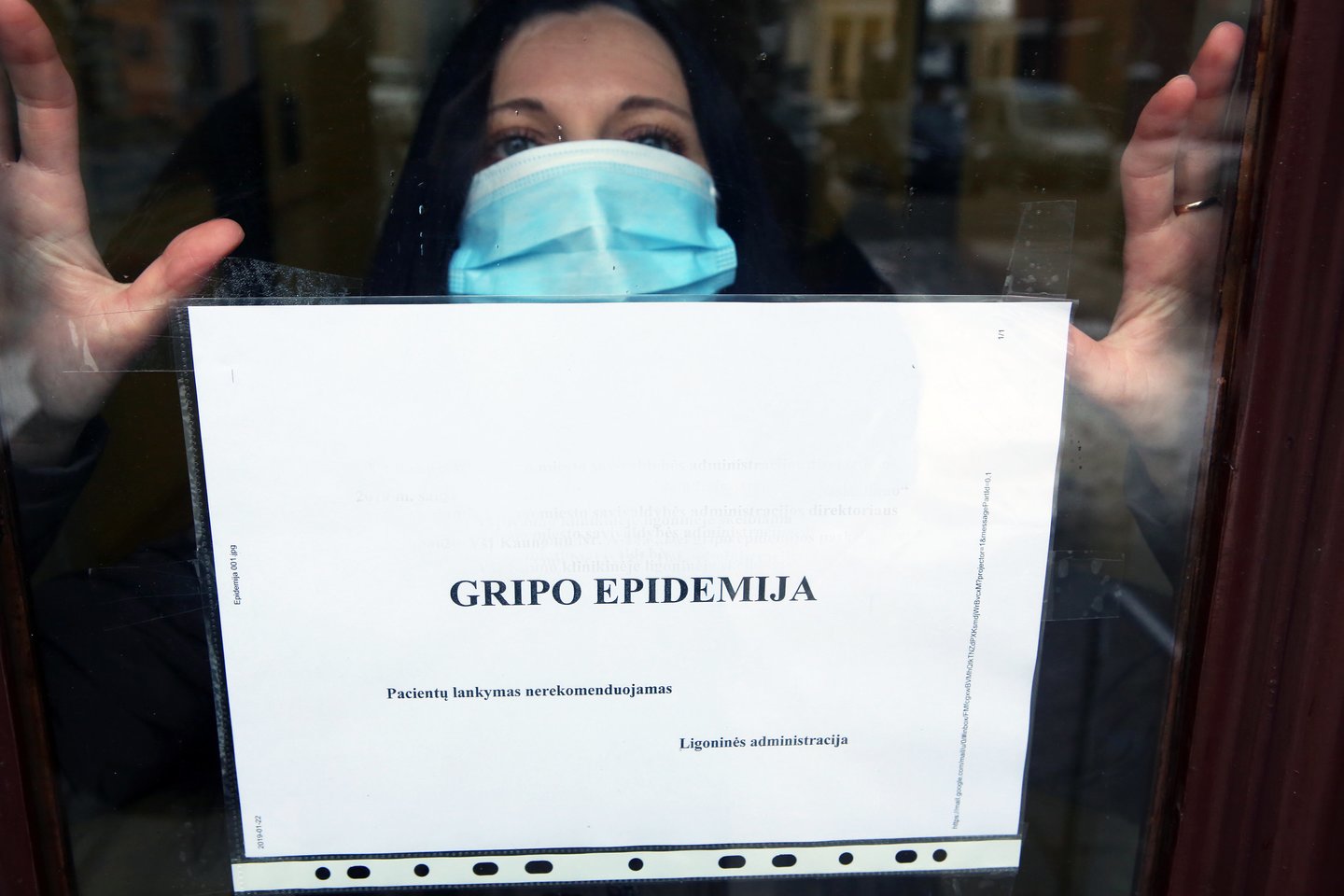 Gripo epidemija.