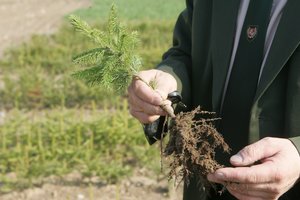 Naujoms miškininkų uniformoms ketinama skirti 3,5 mln. eurų