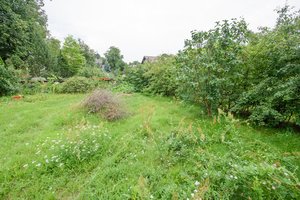 Vyriausybė linkusi leisti sodininkams įsigyti laisvą valstybinę žemę