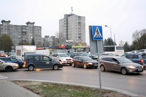 Ekonomistas: reikia baimintis ne krizės, o automobilių pramonės mažėjimo