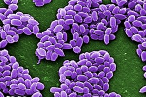 Faktai apie netinkamą šių vaistų vartojimą šiurpina: aptinkami ir maiste