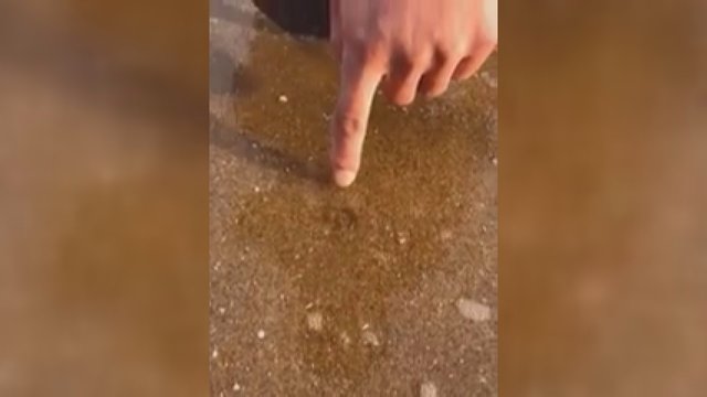 Viena detalė pliaže atkreipė vyro dėmesį – po smėliu slėpėsi netikėtas radinys