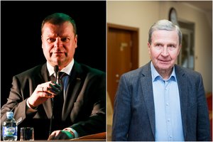 Konstitucinės teisės ekspertas: jei S. Skvernelis neieškos aplinkos ministro, pažeis Konstituciją